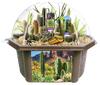 Desert Dome Biosphere Terrarium