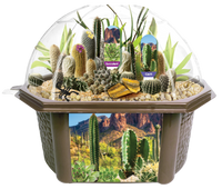 Desert Dome Biosphere Terrarium