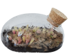 The Desert Mouse Garden Glass Terrarium with Cork