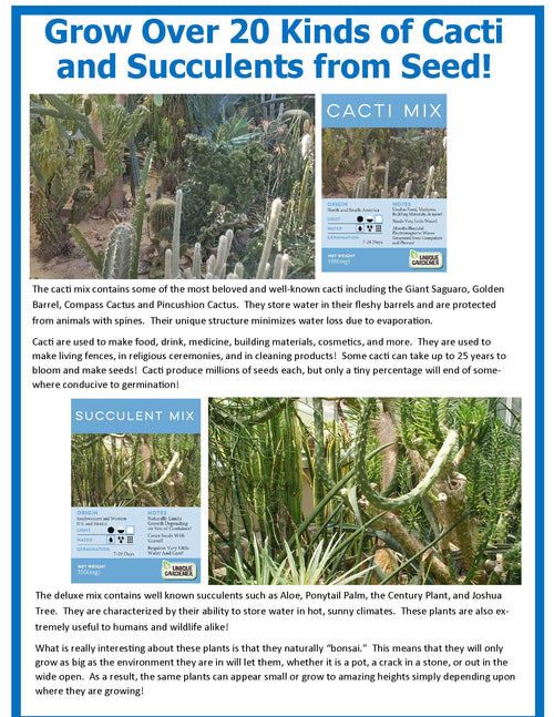 Desert Escape Growarium Succulent and Cacti Seed Terrarium Kit