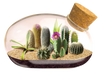 The Desert Mouse Garden Glass Terrarium with Cork