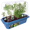 Prehistoric Dinosaur Land Mini World Terrarium