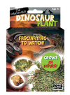 Dinosaur Plant -  Multipack of 3