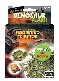 Dinosaur Plant -  Multipack of 3