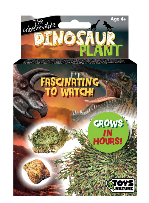 Dinosaur Plant -  Multipack of 3