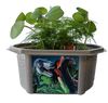 Dinosaur Domain Biosphere Terrarium