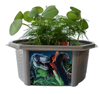Dinosaur Domain Biosphere Terrarium