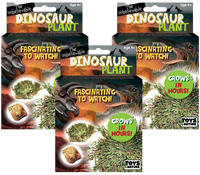 Dinosaur Plant -  Multipack of 3
