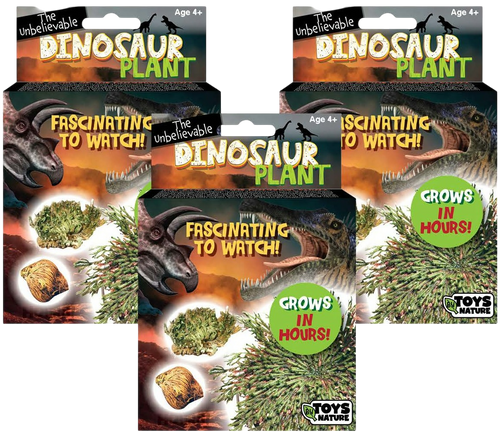 Dinosaur Plant -  Multipack of 3