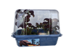 Dragons Den Mini World Terrarium