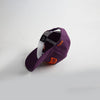 The Clemson South Carolina Legacy Snapback - LAST CALL