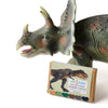 Non-Toxic Beeswax Crayons - Dinosaur Bone