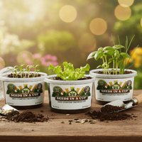 Arugula Grow Kit | Grow Arugula from Seed | Seeds In A Cup®