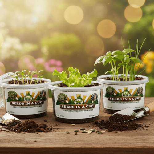Arugula Grow Kit | Grow Arugula from Seed | Seeds In A Cup®