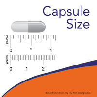 Echinacea 400 mg Veg Capsules
