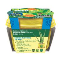 Eco Seed Sprouts Aunt Annie Aloe - Multipack of 5