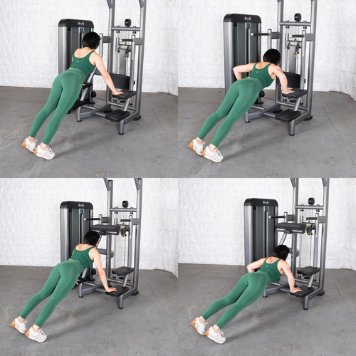 Elite Plus Assisted Chin Dip Machine | Muscle D Fitness