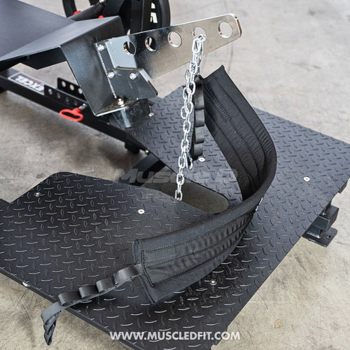 Excel Belt Squat - Muscle D Fitness - Plate Loaded Belt Squat w/ Plate Storage