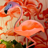 Flamingo Touch Desk Lamp