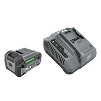 FLEX FX0411-1C 5.0Ah Lithium Starter Kit