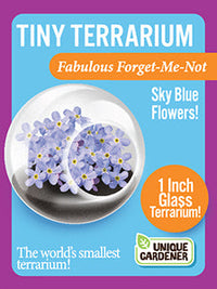 Flowering Tiny Terrariums Bundle - 1 each of 6 Varieties