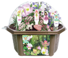 Fanciful Fairy Garden Biosphere Terrarium