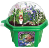 Tiny Fairy Wonderland Micro Dome Terrarium