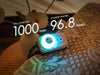 Fenix HL17R Multicolor 2-in-1 Headlamp