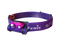 Nebula