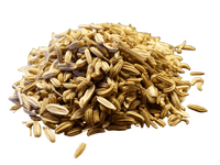 Fennel Seed, Whole