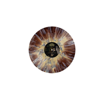 Fires In the Distance - Circadian Promise on Custard & Bone Vinyl