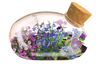 The Flowering Mouse Garden Glass Terrarium with Cork