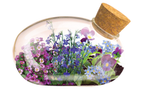 The Flowering Mouse Garden Glass Terrarium with Cork