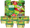 Eco Seed Sprouts Flytrap Ed - Multipack of 5