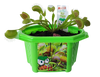 Fred 'The Ferocious' Flytrap Micro Dome Terrarium