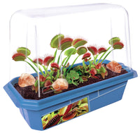 Frightening Flytraps Mini World Terrarium