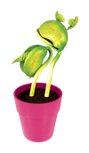 "I Love You" Bean Terrarium