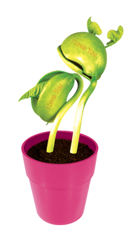 "I Love You" Bean Terrarium