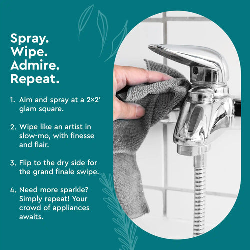 Stainless Steel Surface Cleaner