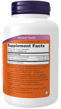 Glucosamine & MSM