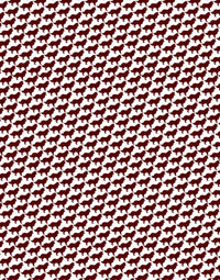 The Howdy Polo