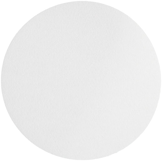 Whatman 10311649 Filter Circles, 210mm Dia, Folded Prepleated Grade 595, 100/Pk