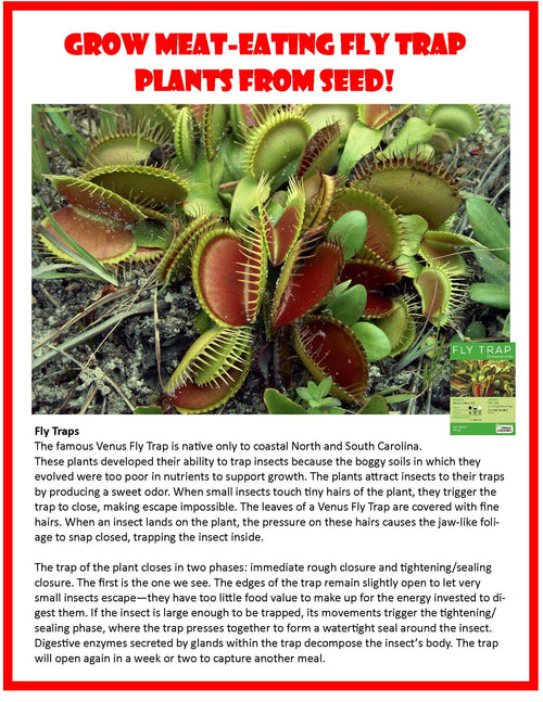Flytrap Garden Glass Terrarium Seed Starting Kit