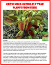 Carnivorous Growarium Meat-Eating Seed Terrarium Kit
