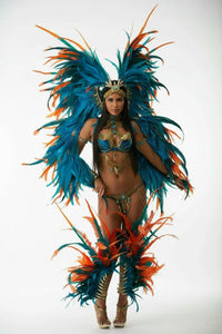 The Stardust Empress Royale – Deluxe Feathers & Crystal Bikini Samba Performance Costume Set