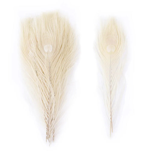Premium Peacock Eye Feathers 10PC