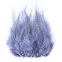 Natural Pheasant & Chicken Craft Feathers Bulk Lot