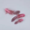 Natural Spotted Guinea Fowl Feathers 100PC