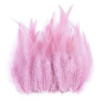Natural Pheasant & Chicken Craft Feathers Bulk Lot
