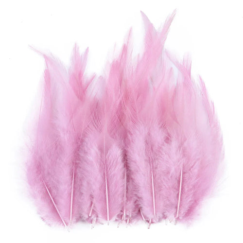 Natural Pheasant & Chicken Craft Feathers Bulk Lot